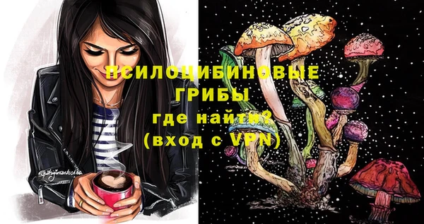 дживик Вяземский